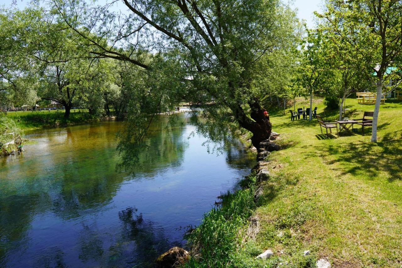 Apartments Manitovac M Nikšić المظهر الخارجي الصورة