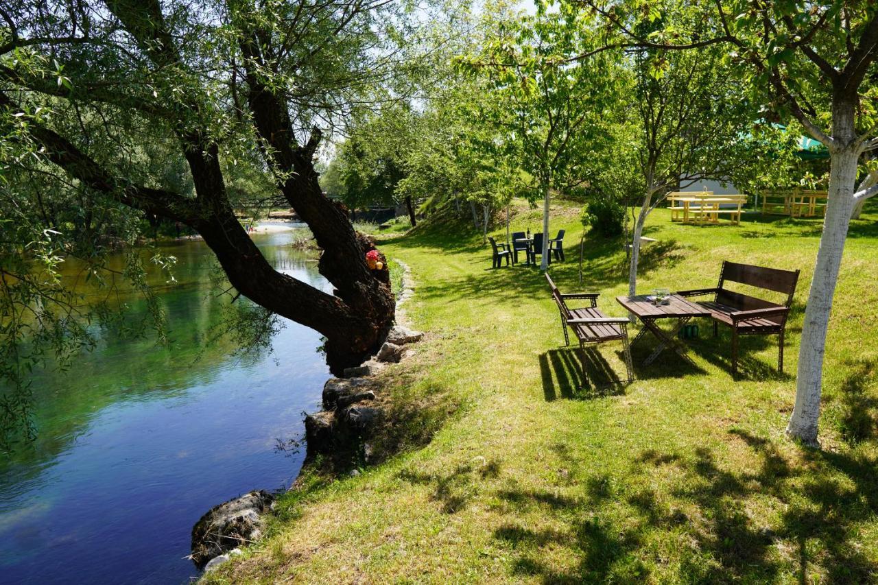 Apartments Manitovac M Nikšić المظهر الخارجي الصورة