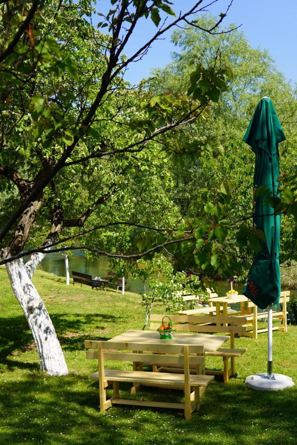 Apartments Manitovac M Nikšić المظهر الخارجي الصورة